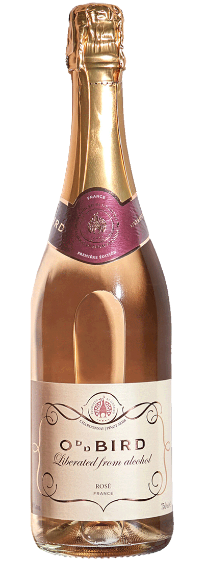 Bottle of non-alcoholic sparkling rose wine by Oddbird